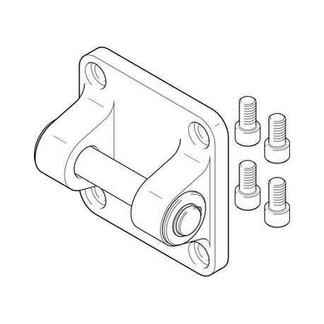 Flasque Orientable SNGB